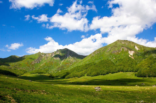 Trail du Sancy 2025 : L’aventure au coeur du Massif Central