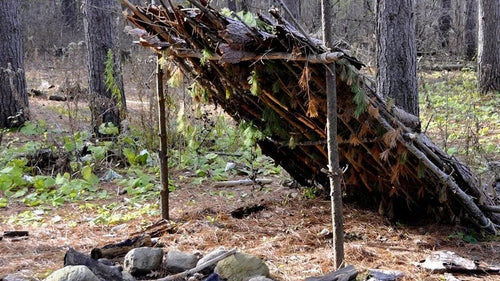Survivalisme : et si la fin du monde était pour demain ?